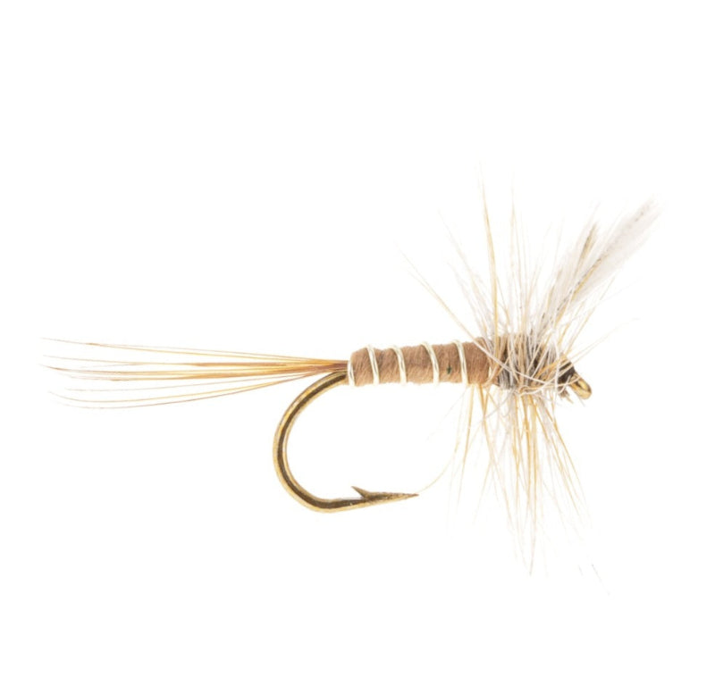 MAYFLY EUROPEAN MEDIUM OLIVE SPENT