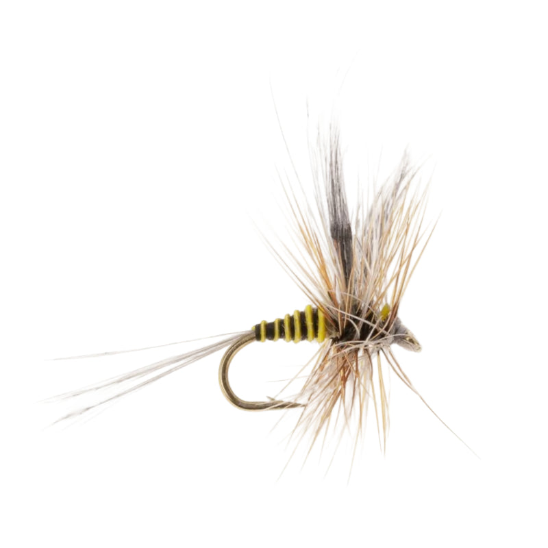 MAYFLY SPECIAL EUROPEAN DUN