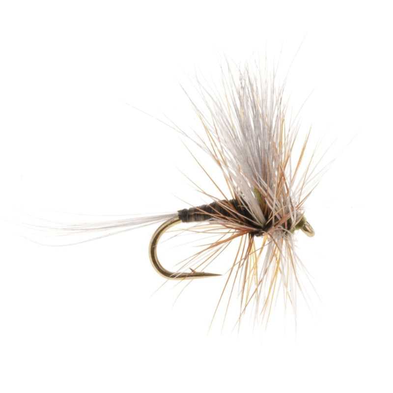 MAYFLY SPECIAL EUROPEAN BROWN QUILL