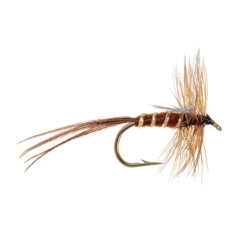 MAYFLY SPECIAL EUROPEAN BROWN SPENT