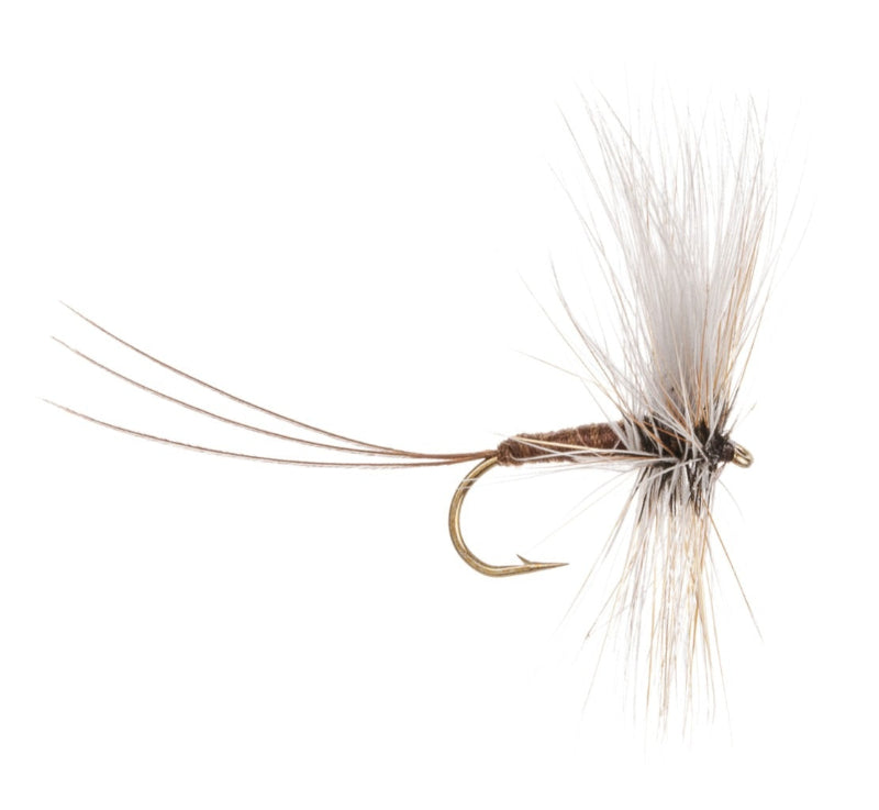 MAYFLY SPECIAL EUROPEAN NO. 28