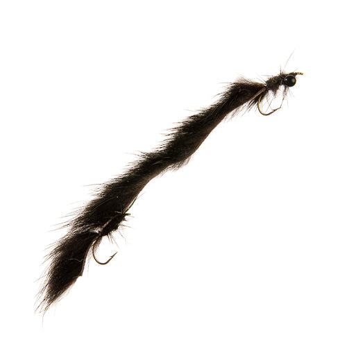 SNAKE FLY BLACK