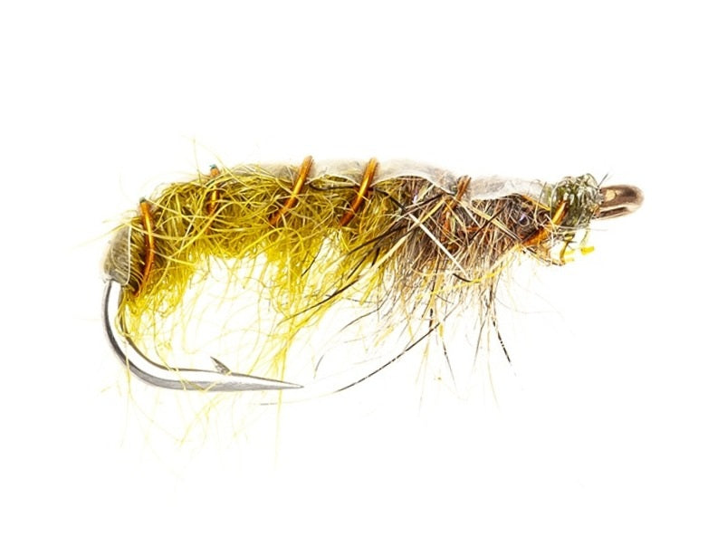 SHRIMP FLY SWIMMING SHRIMP OLIVE
