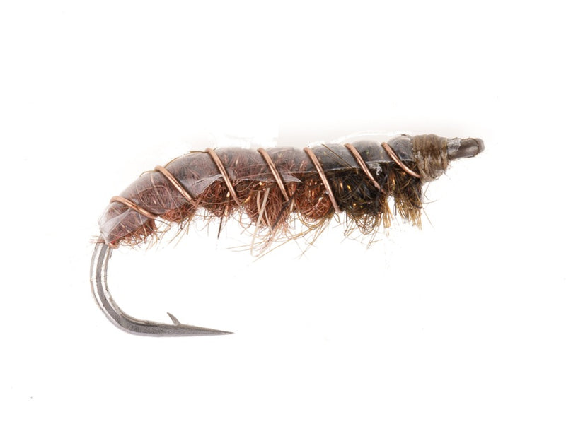 SHRIMP FLY SWIMMING SHRIMP BROWN