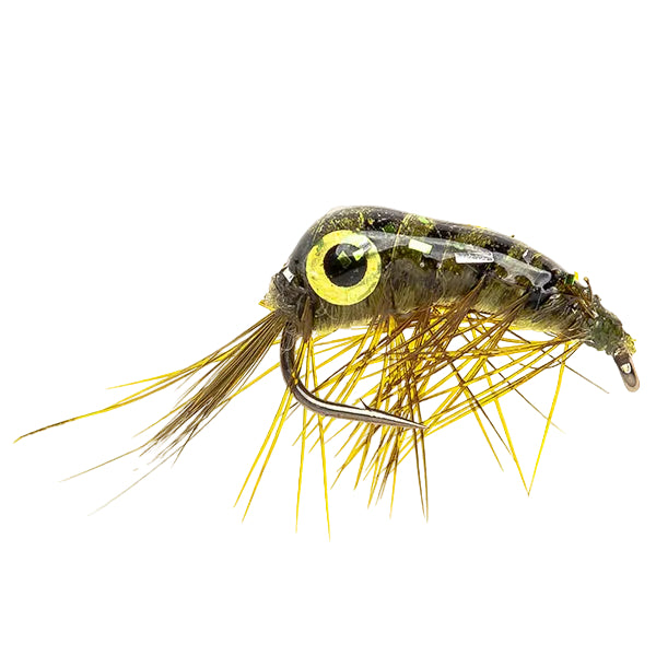SHRIMP FLY BIG EYED EPOXY SHRIMP OLIVE