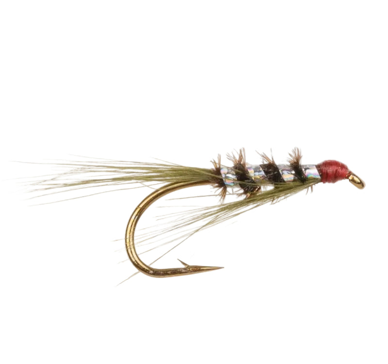 SLIM LINE NYMPH FLY DIAWL BACH-HOLO OLIVE