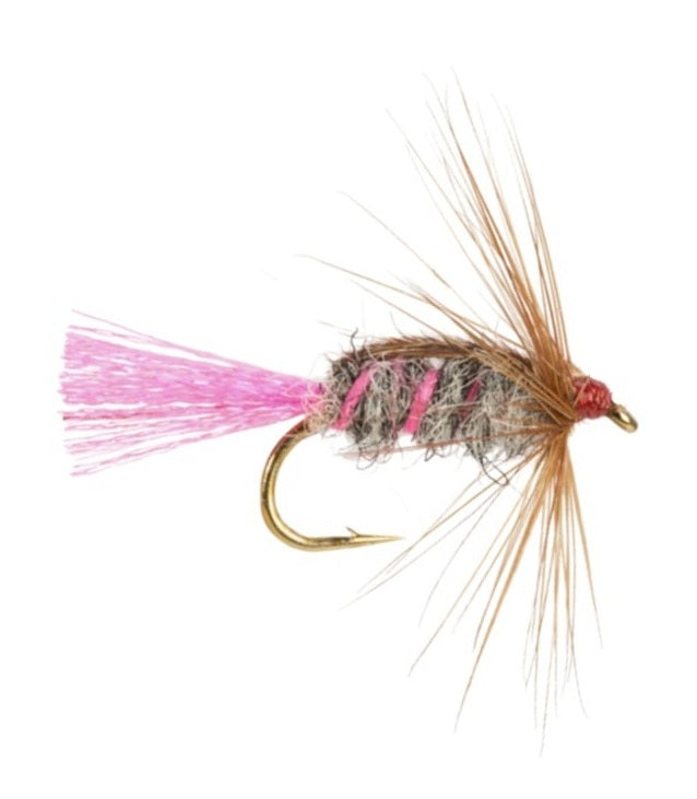 SLIM LINE NYMPH FLY CHEW NYMPH