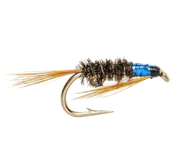 SLIM LINE NYMPH FLY DIAWL BACH BLUE THROAT