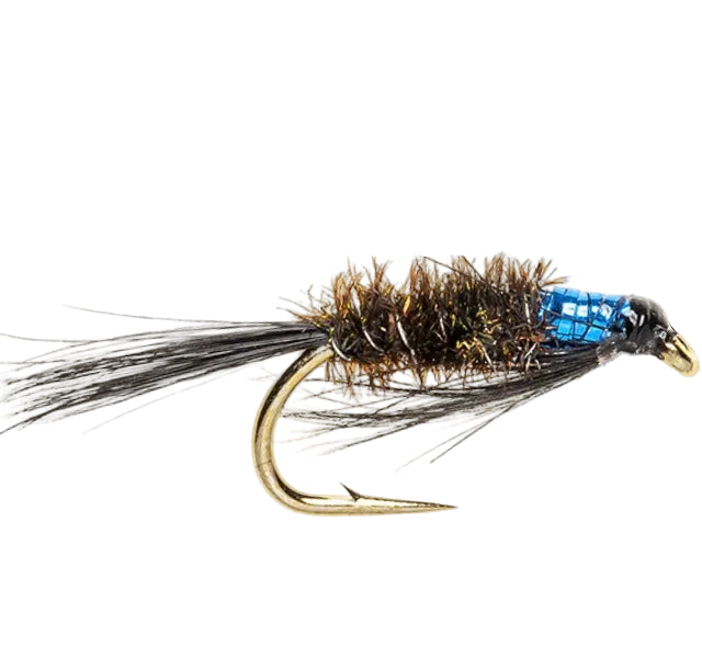 SLIM LINE NYMPH FLY DIAWL BACH BLUE THROAT BLACK