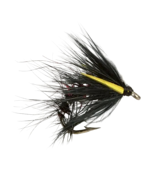 SNATCHER FLY BIBIO