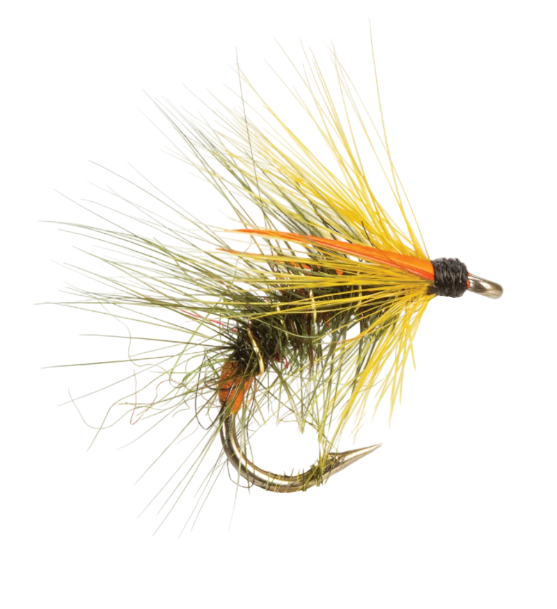 SNATCHER FLY OLIVE