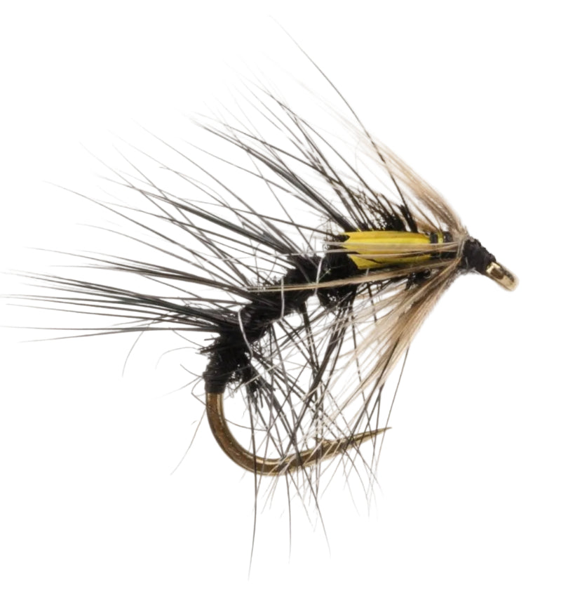 SNATCHER FLY HAIRY SNATCHER KATE MACLAREN