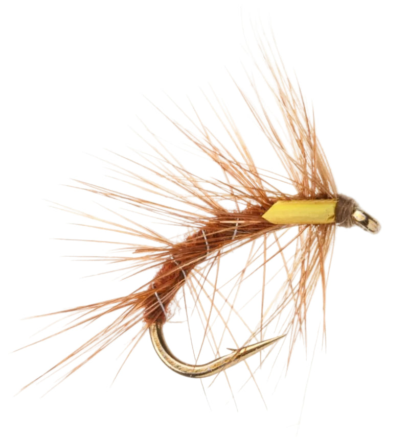 SNATCHER FLY HAIRY SNATCHER FIERY BROWN