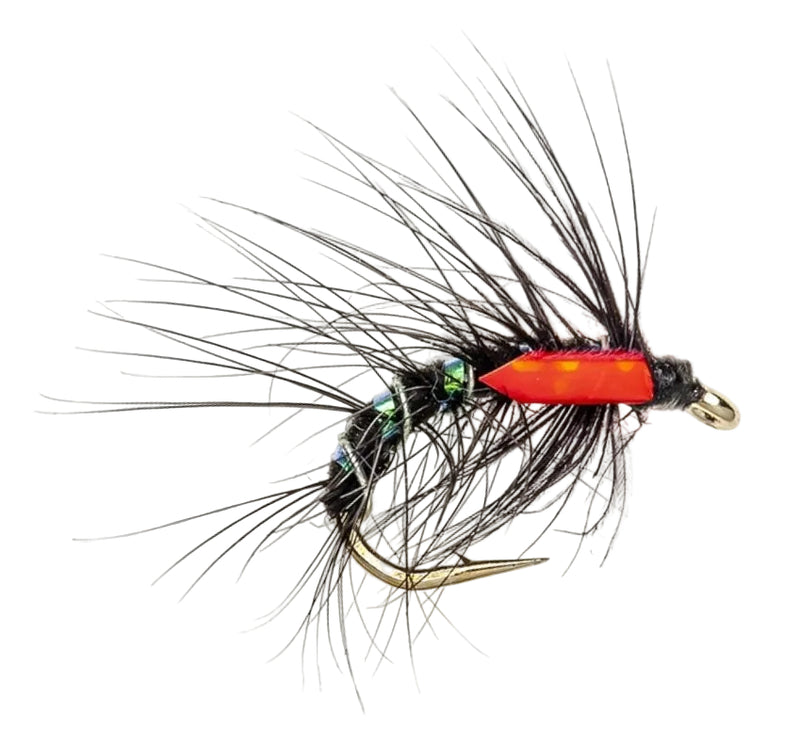 SNATCHER FLY BLACK