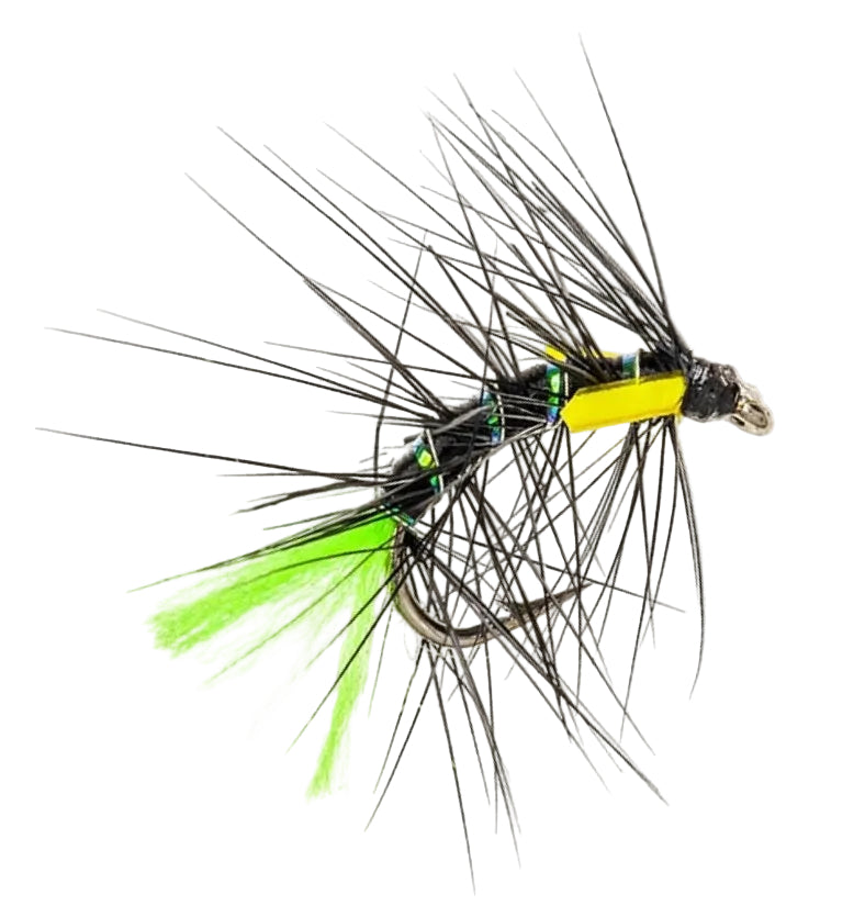 SNATCHER FLY BLACK GREEN