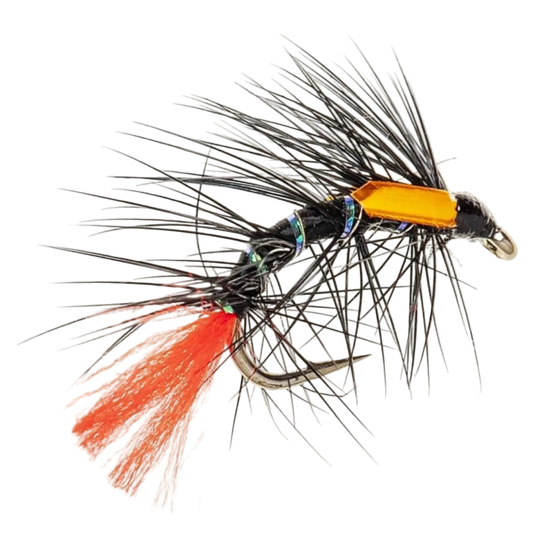 SNATCHER FLY BLACK RED TAG