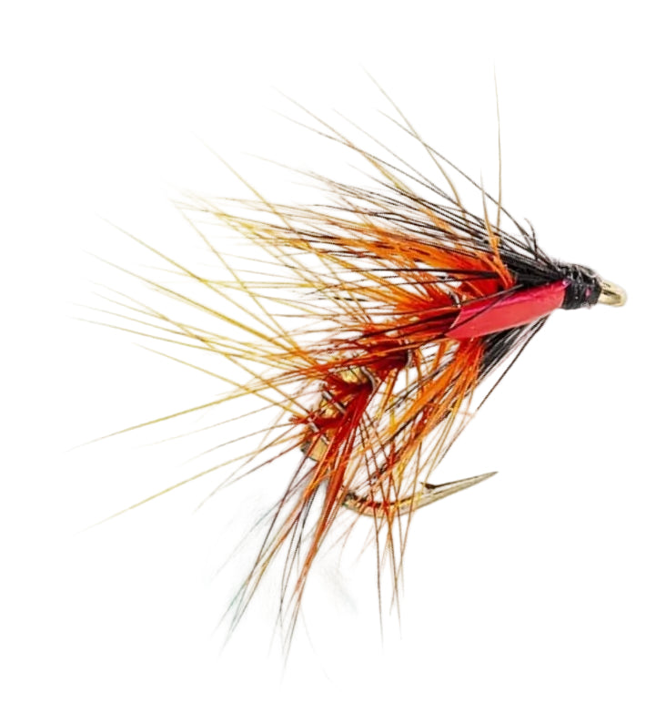 SNATCHER FLY KINGFISHER