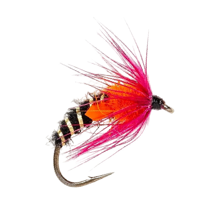 SNATCHER FLY EMERGER BUZZER ORANGE & CLARET