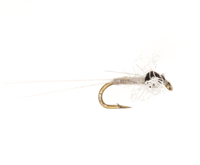 SPINNER FLY TRICO FEMALE