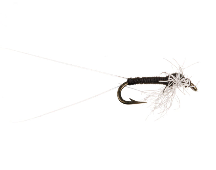 SPINNER FLY TRICO MALE