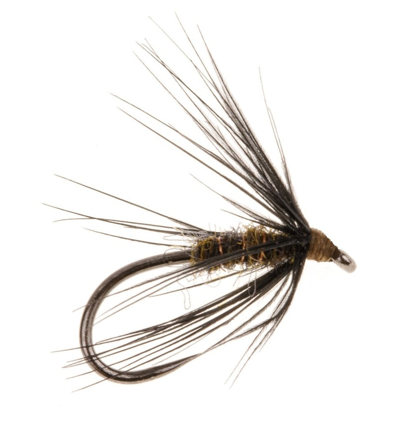 WET SPIDER BARBLESS FLY WITCHER  SPIDER