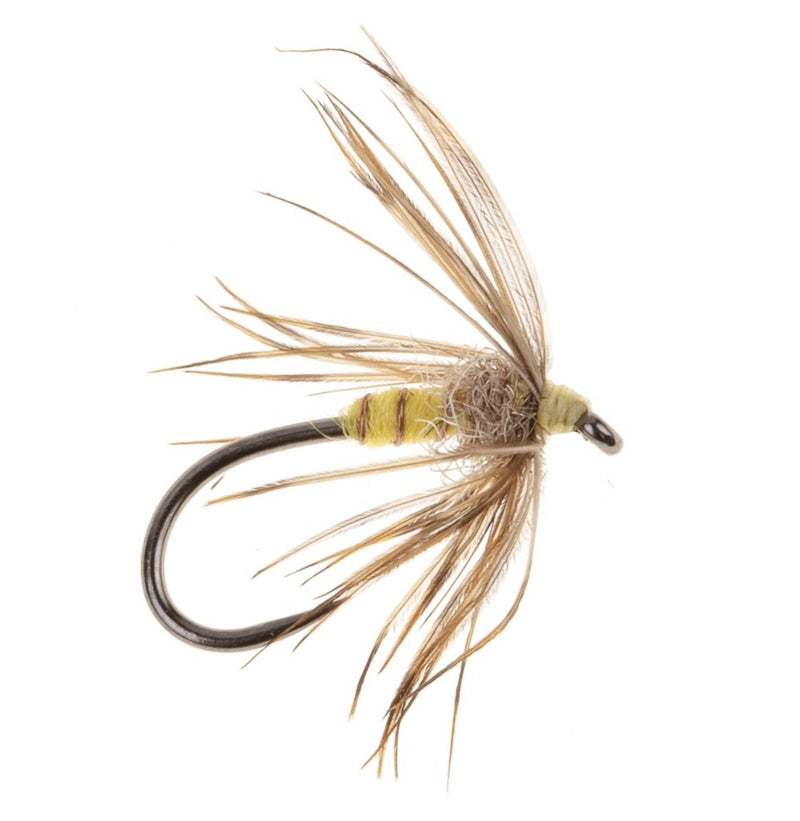 WET SPIDER BARBLESS FLY YELLOW SALLY  SPIDER