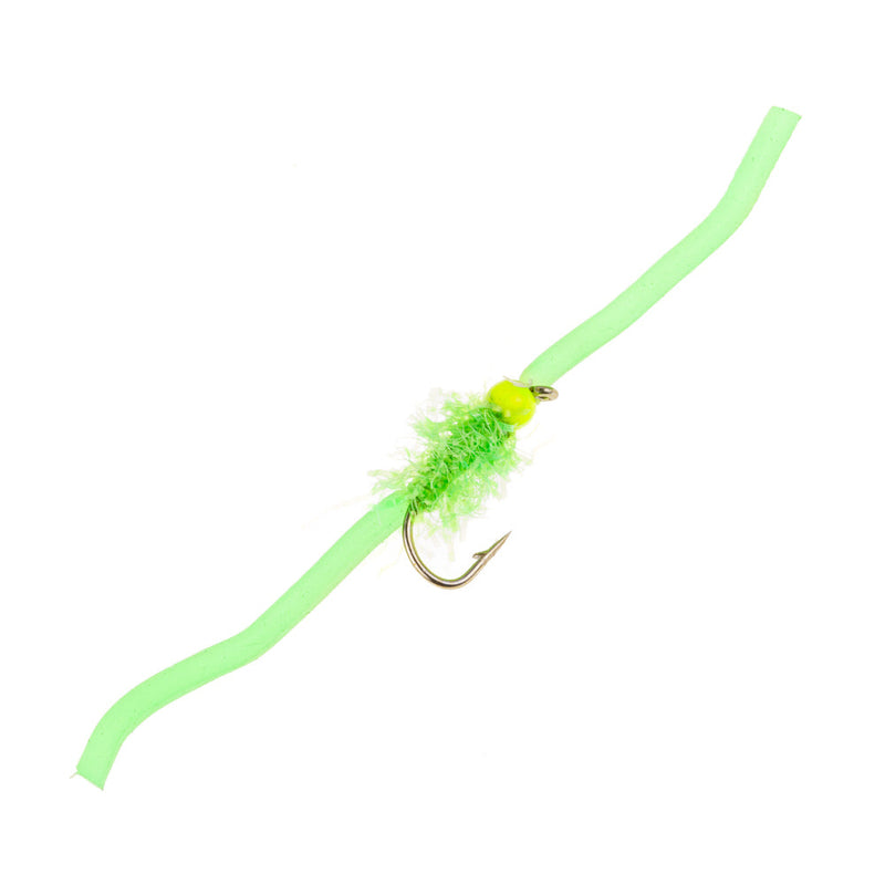 SQUIRMY WORM FLY DON’T MAKE ME ANGRY' SQUIRMY