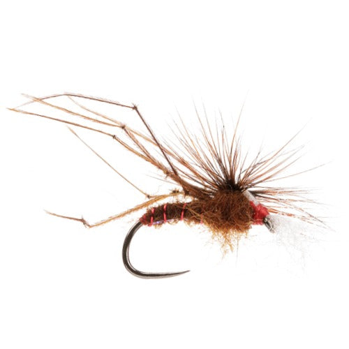 STILLWATER BARBLESS FLY FLASH BELLY HOPPER BROWN