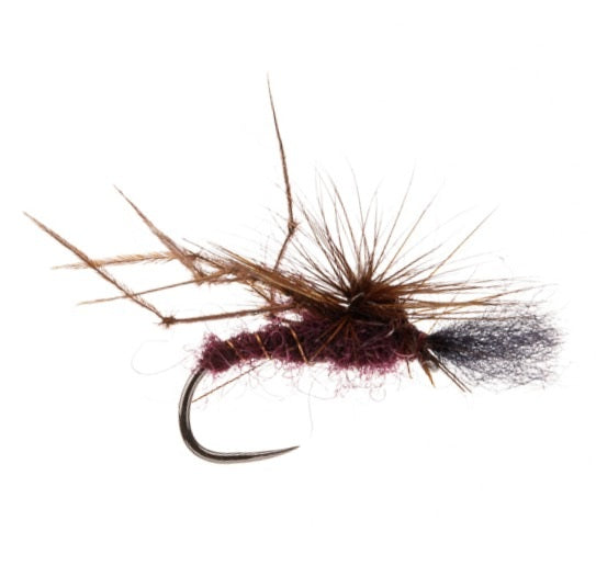 STILLWATER BARBLESS FLY FLASH BELLY HOPPER CLARET