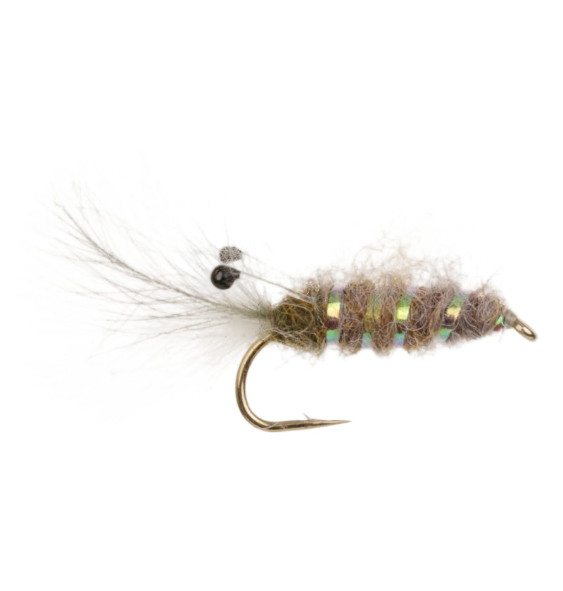 SEA TROUT FLY AURA REJEN