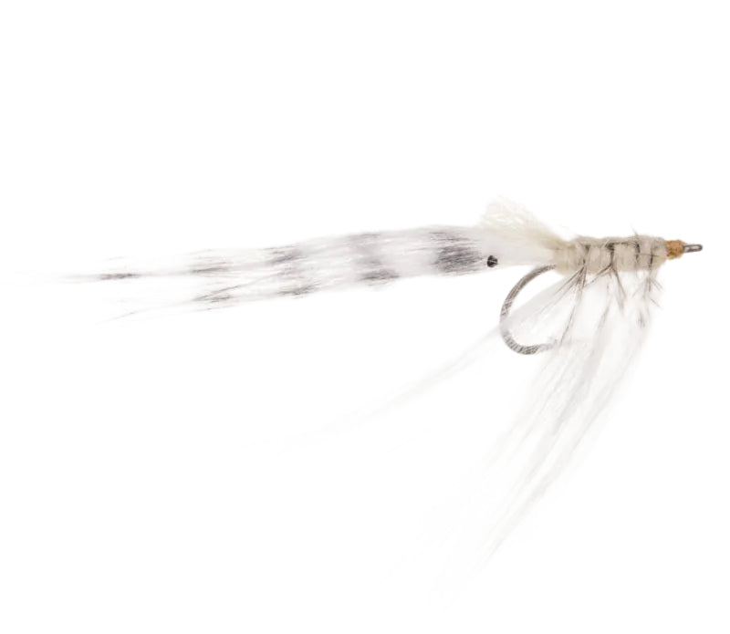 SEA TROUT FLY GRA GRIS