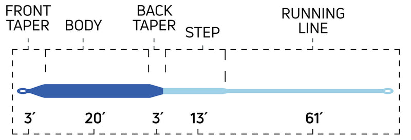 CORTLAND STRIPED BASS BLITZ INT/ FLOAT FLY LINE