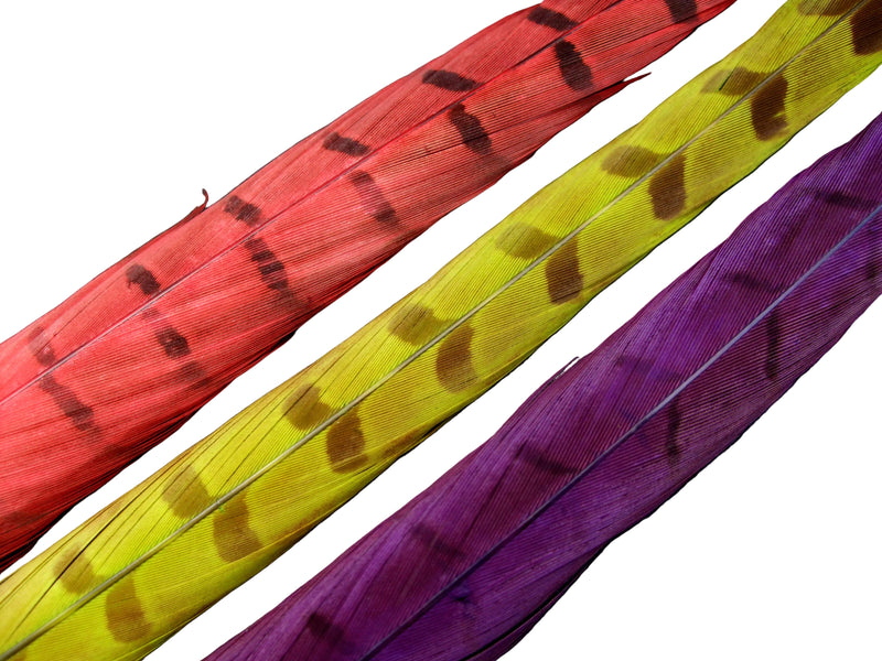 TAILS COCK PHEASANT FLY TYING FEATHER