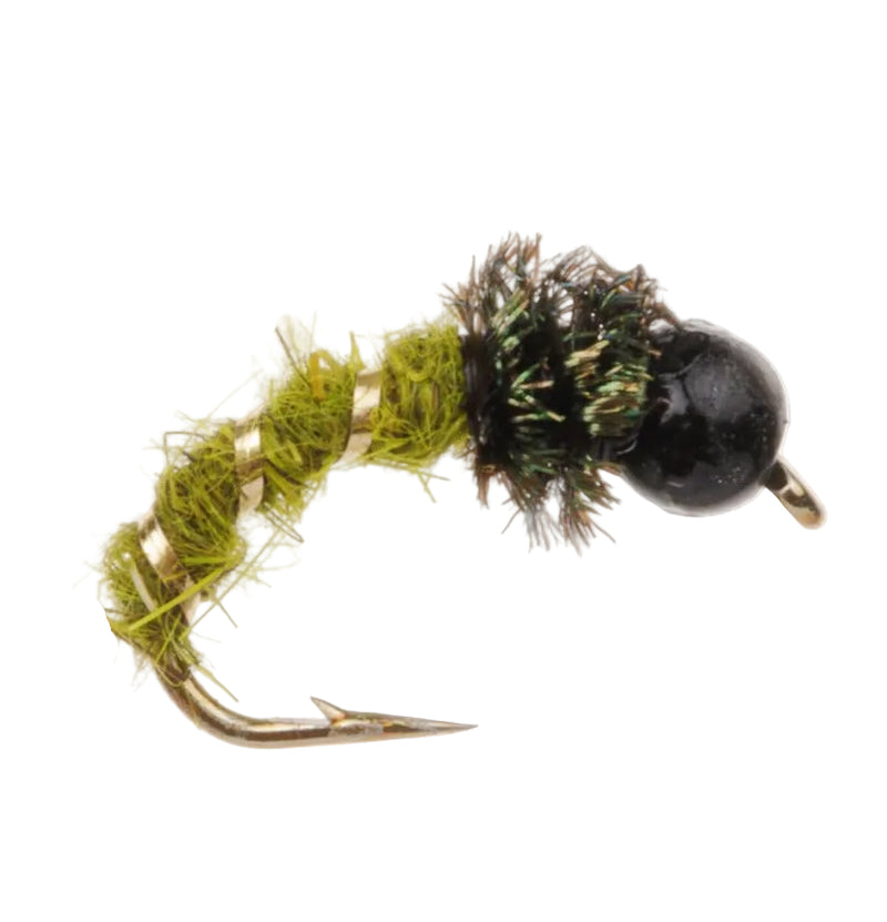 TUNGSTEN NYMPH FLY CADDIS-OLIVE