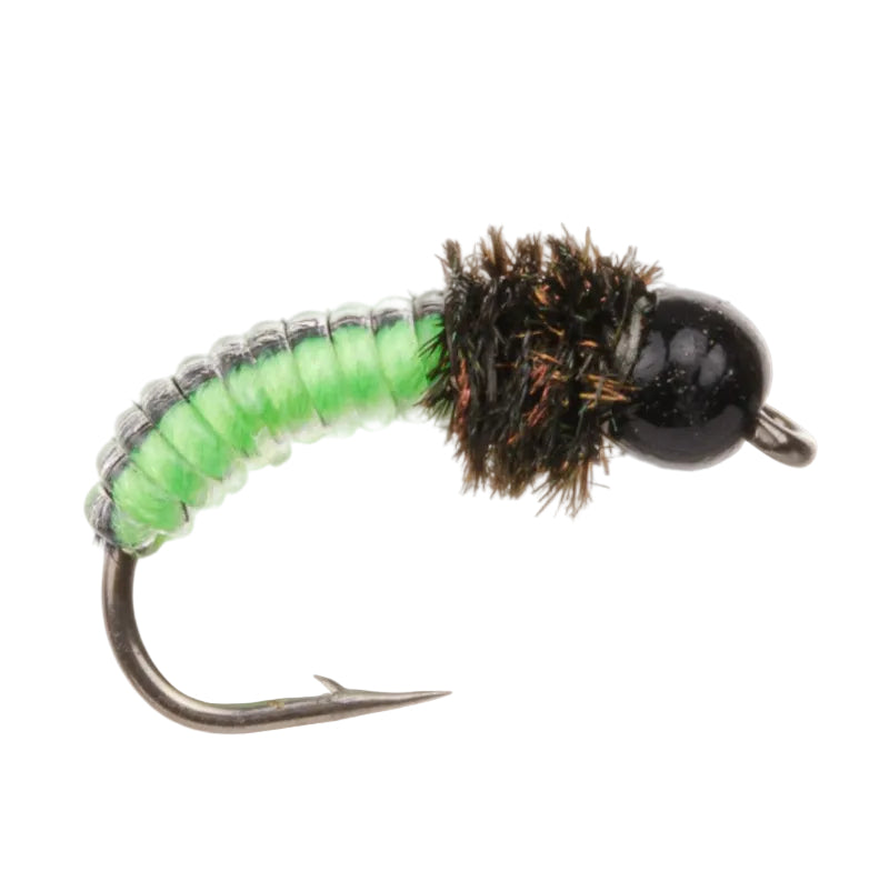 TUNGSTEN NYMPH FLY JUICY GRUB BLACK/LIME