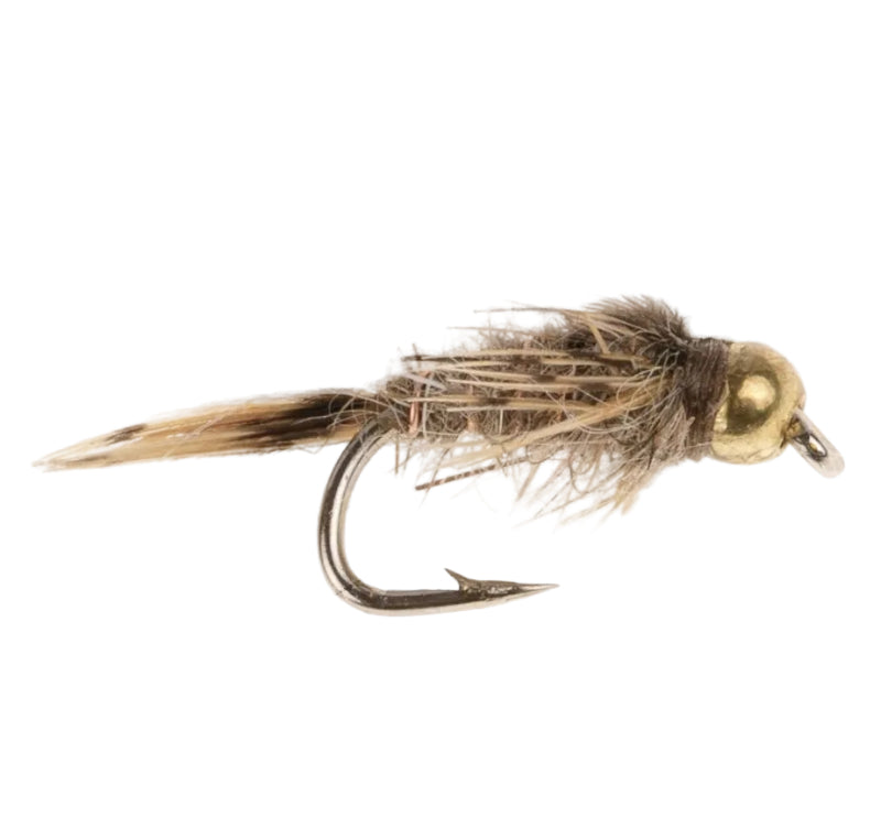 TUNGSTEN NYMPH FLY TUNGSTEN NYMPH HARES EAR