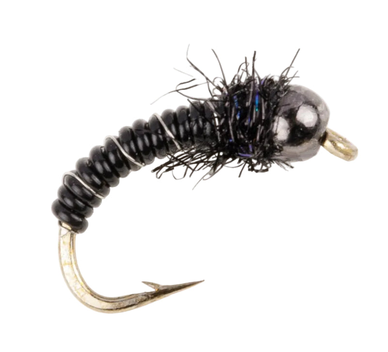 TUNGSTEN NYMPH FLY TUNGSTEN KN DAY TIME BLACK