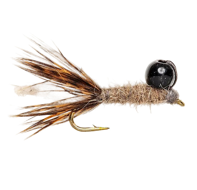 TUNGSTEN NYMPH FLY TUNGSTEN PEEPING CADDIS DARK