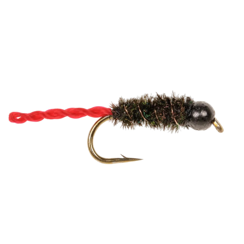 TUNGSTEN NYMPH FLY TUNGSTEN PEACOCK NYMPH