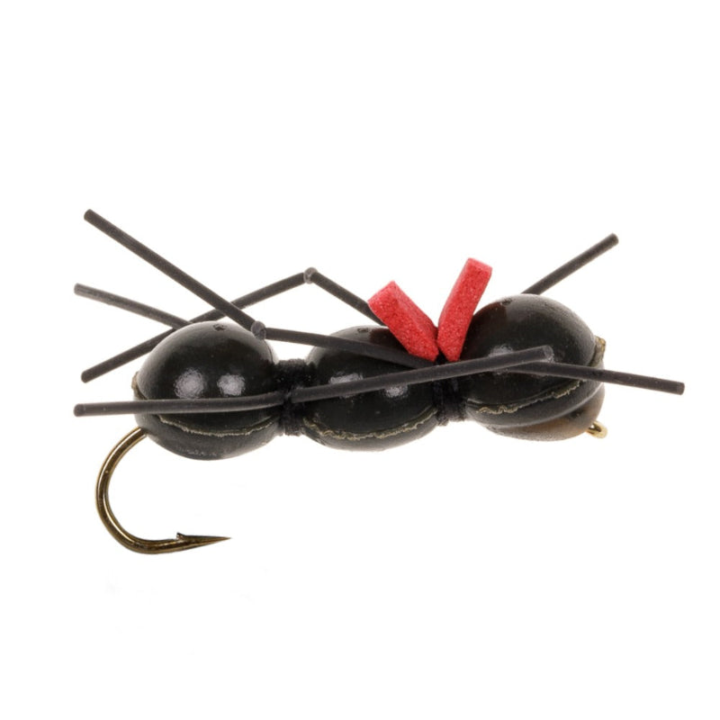 THINGAMABODY FLY CHERNOBYL ANT