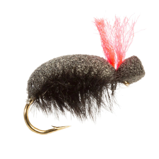 TERRESTRIAL FLY BLACK BEETLE HI-VIS