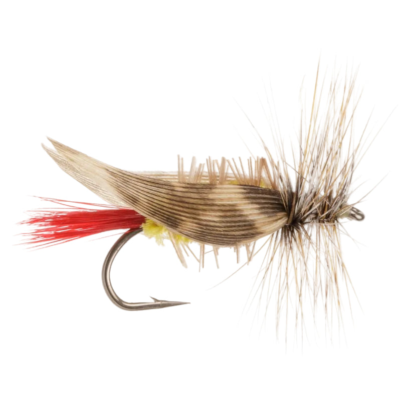 TERRESTRIAL FLY JOE'S HOPPER