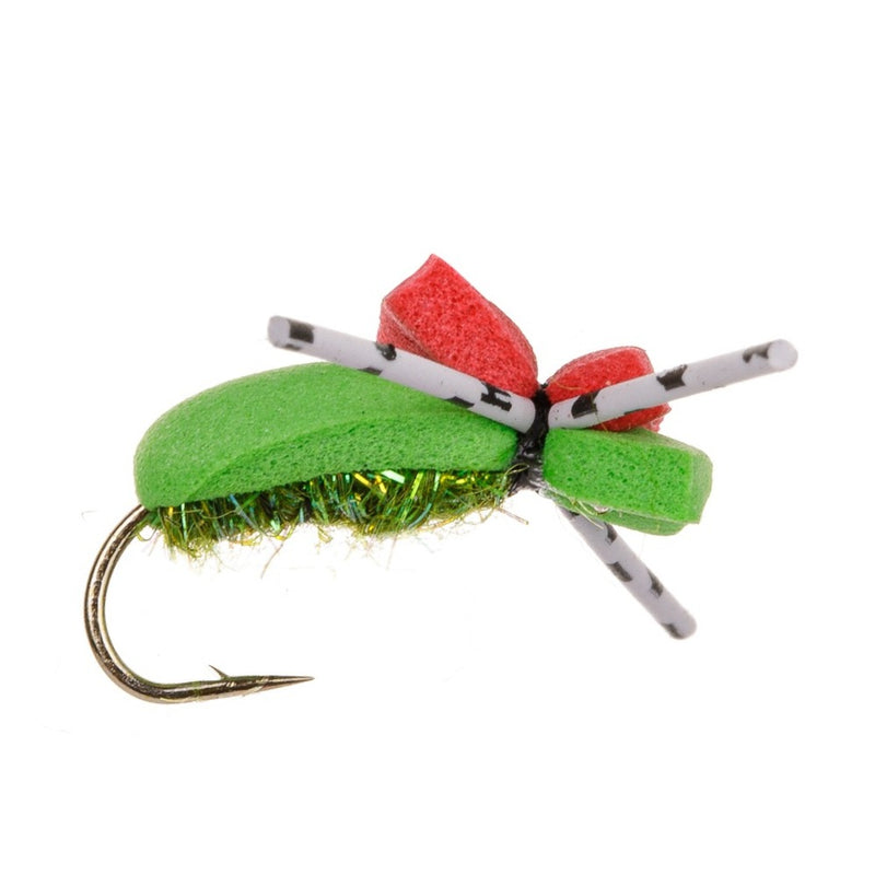 TERRESTRIAL FLY GREEN FOAM BEETLE