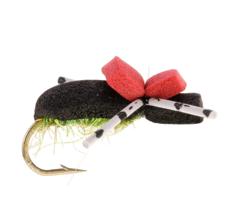 TERRESTRIAL FLY BLACK FOAM BEETLE