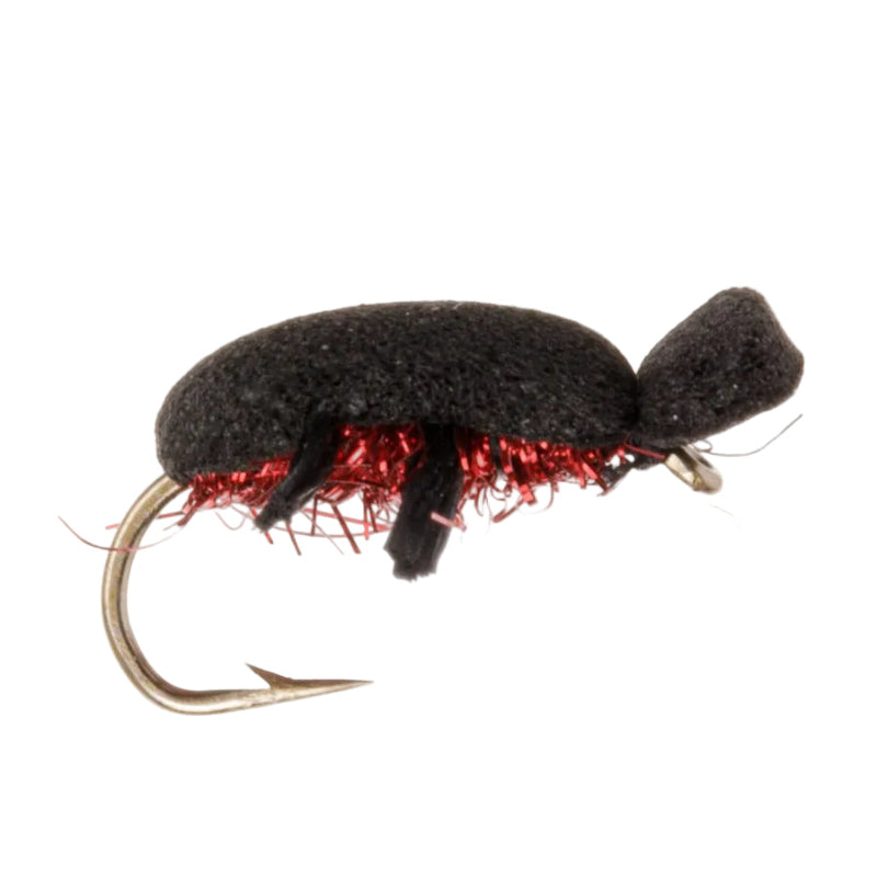 TERRESTRIAL FLY FIRE BEETLE