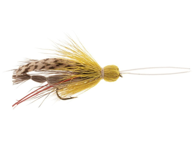 TERRESTRIAL FLY WHITE HOPPER