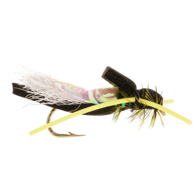 TERRESTRIAL FLY ATTRACTOR BUG