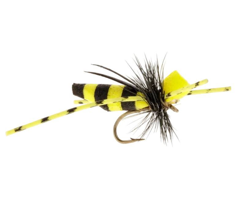 TERRESTRIAL FLY FOAM BUMBLEBEE