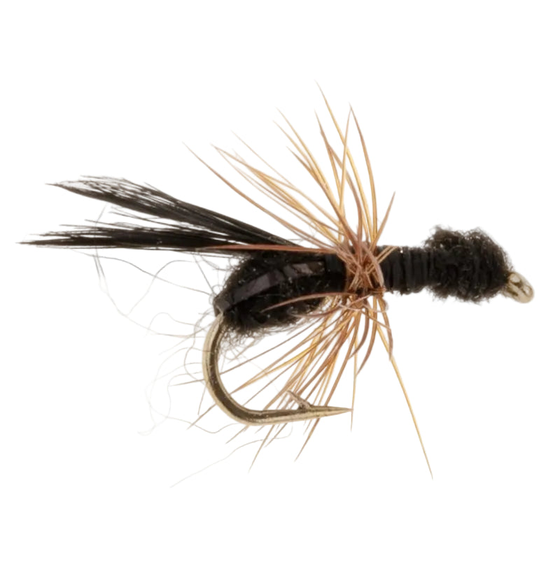 TERRESTRIAL FLY FLYING ANT