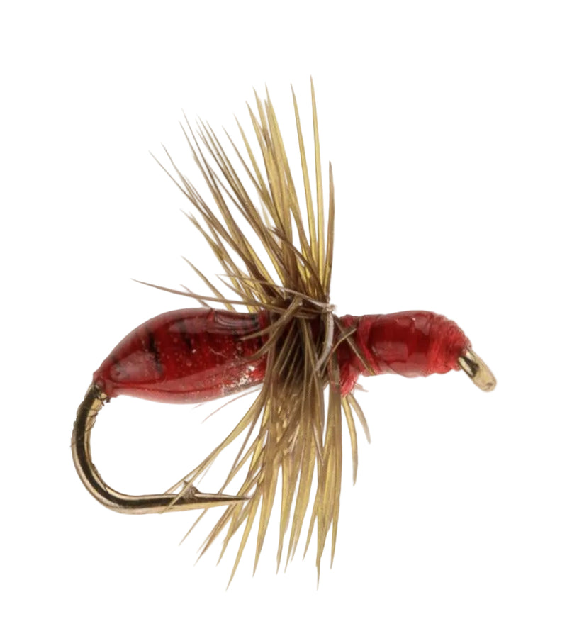 TERRESTRIAL FLY EPOXY ANT RED